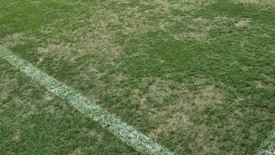 El preocupante estado del césped en el Estadio Madres de Ciudades de Santiago del Estero antes de River Plate - Rosario Central