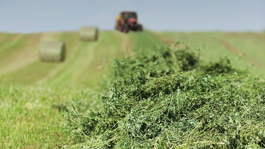 Exportaciones agroindustriales caen más del 30%, aunque algunos complejos salvan la ropa