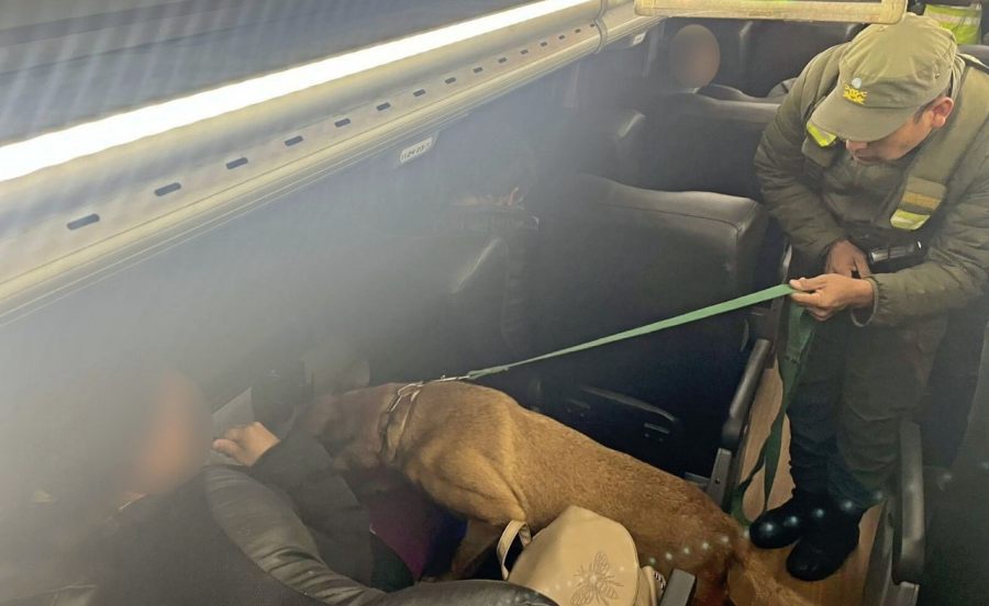 Pasajera trasladaba cocaína adosada a su cuerpo: La mujer viajaba como pasajera sobre un transporte público de media distancia