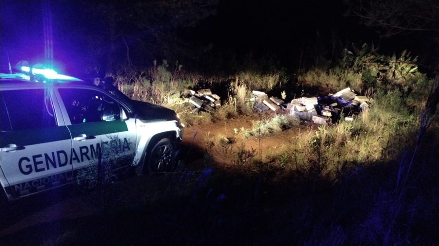 Misiones: Gendarmes hallaron millonario acopio de marihuana entre la maleza