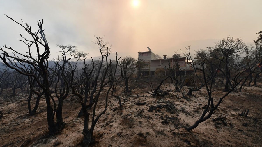 Emergencia en Chubut: Parque Los Alerces: El incendio avanza hacia Esquel y hay evacuados cerca del Río Percy