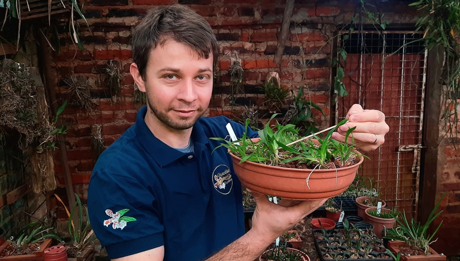Ciudades con orquídeas: Plantarán especies nativas en la ciudad misionera de Leandro N. Alem