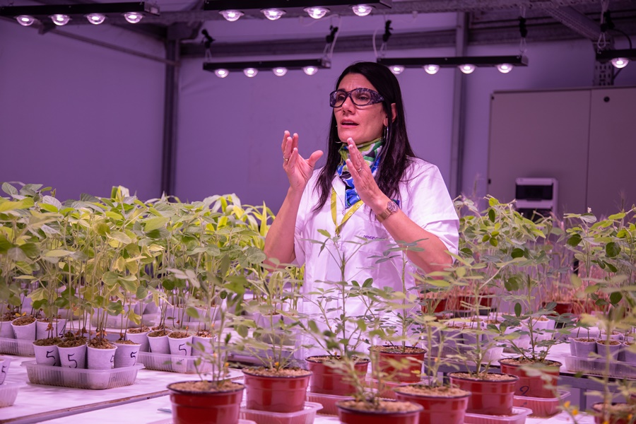Transformando la Inoculación de Soja: Novozymes Lidera Avances Tecnológicos para Incrementar los Rendimientos Agrícolas