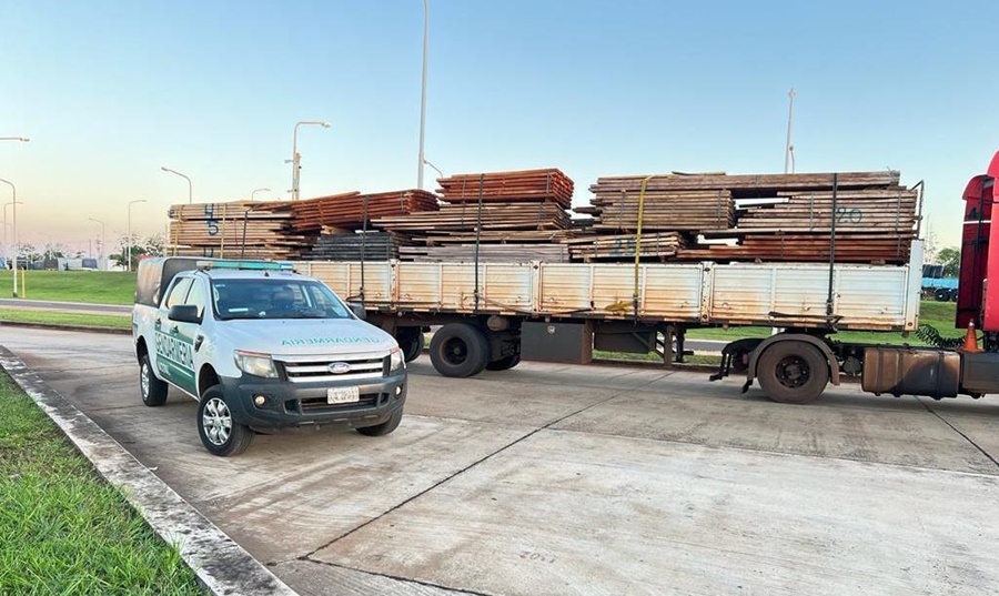 Gendarmería Nacional incautó un camión que transportaba madera nativa