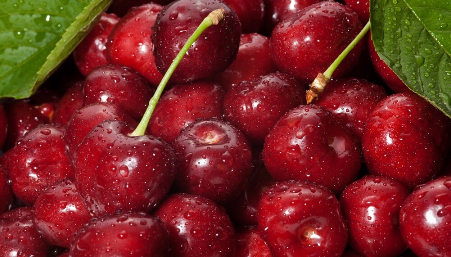 Cerezas: Chile vive una crisis histórica y en Mendoza toman nota para no cometer errores