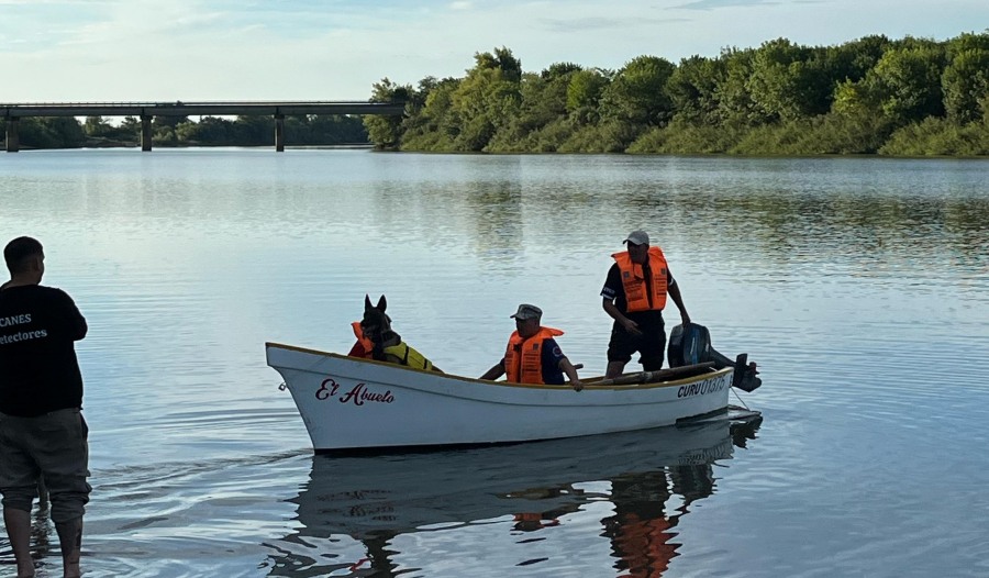 "Cartucho", el can del Grupo de Operaciones Especiales de la Policía de la provincia de Misiones, se entrenó en seguridad y búsqueda acuática