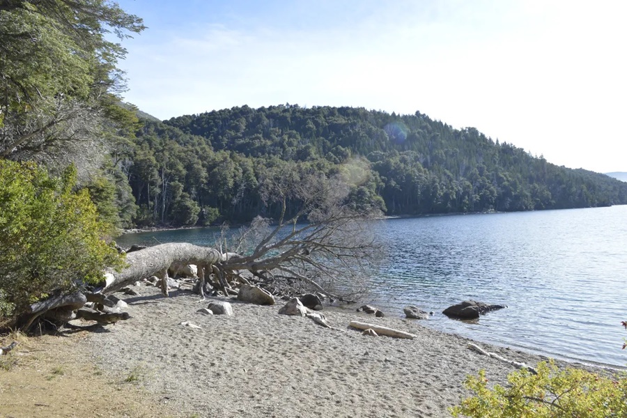 Tragedia en Bariloche: Una turista belga murió ahogada en el Lago Nahuel Huapi