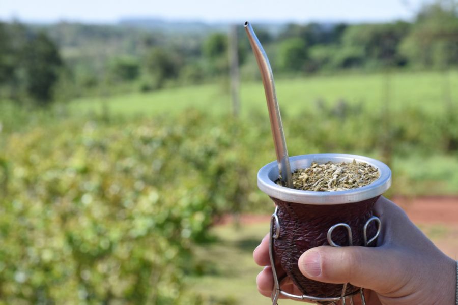 Las ventas de yerba mate se mantienen firmes en el mercado local y en las exportaciones