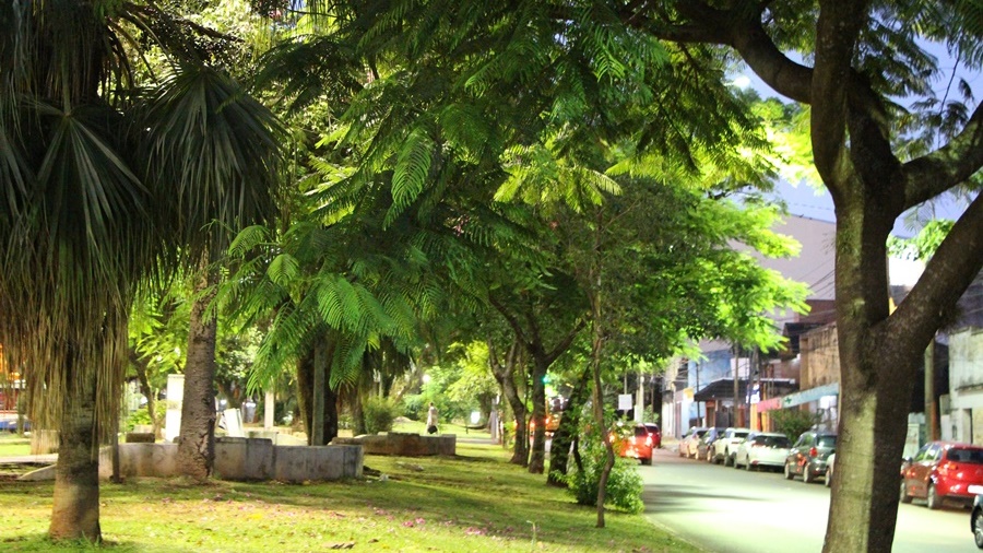 “Es tendencia mundial ir hacia ciudades saludables, resilientes y sostenibles”