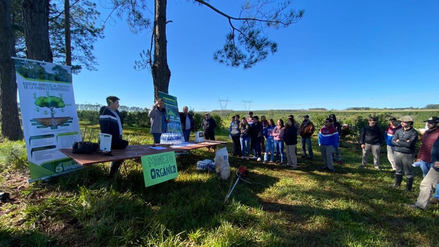 Jornada sobre yerba mate orgánica en el establecimiento “La Negrita”: El cuidado del medio ambiente, una prioridad para la actividad yerbatera