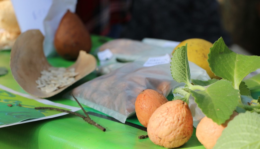Misiones: La Multiversidad en jornada de trabajo y Feria Provincial de las Semillas Nativas y Criollas