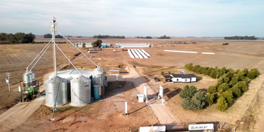 Cerdos: La Granja PORCAP en la localidad bonaerense de Daireaux funciona con una eficiente integración