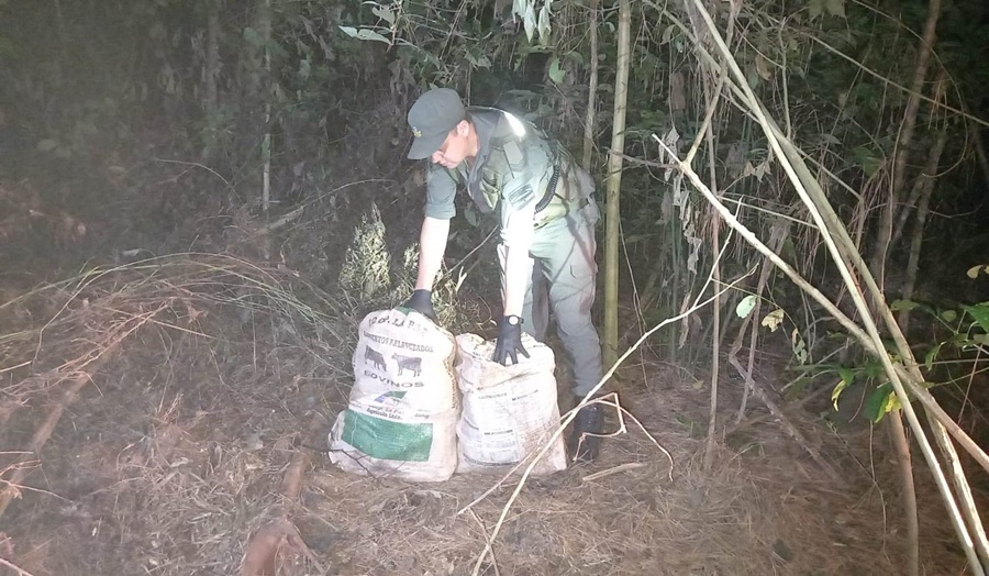 Gendarmes lograron el secuestro de estupefaciente, estaban en dos bolsas tipo arpillera cubiertos con pastizal
