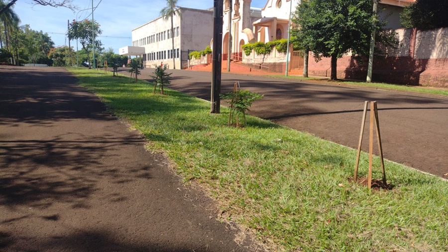 Apóstoles: Importante Plan de Arborización Urbana en el Municipio, con la plantación y reposición de aproximadamente 500 plantines de especies nativas
