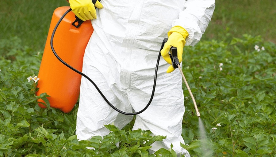 La carta de productores de Misiones al Gobernador: Piden que vete la Ley que prohíbe el glifosato