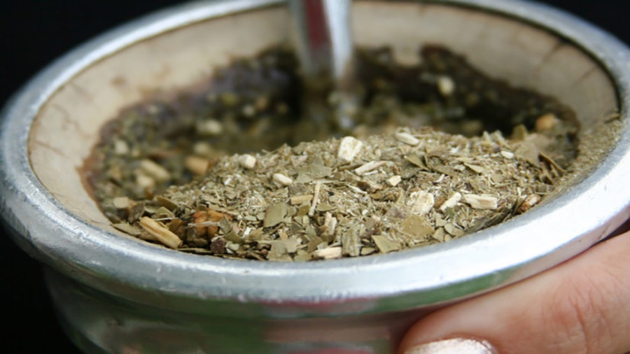 Yerba mate para almacenar energía: El hallazgo argentino que abre las puertas a una industria pujante