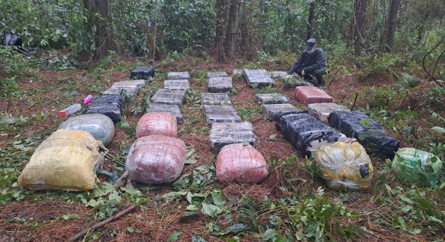 Gendarmería Nacional secuestró más de media tonelada de marihuana: El estupefaciente se encontraba acopiado en una zona montuosa de difícil acceso