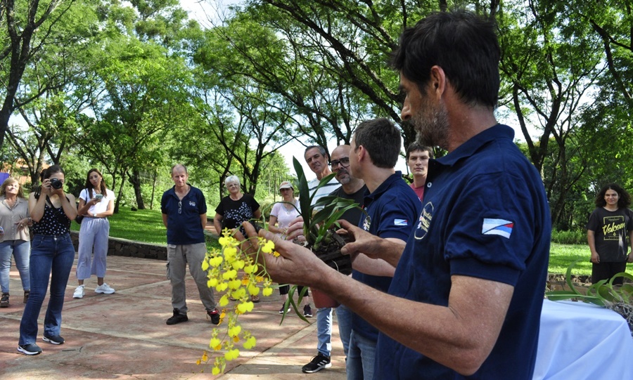 Ciudades con Orquídeas: Cerca de trescientas especies nativas plantadas en una plaza de la ciudad misionera de Leandro N. Alem