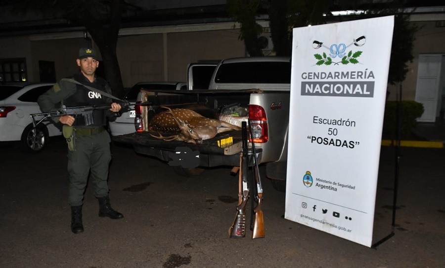 Misiones: Gendarmería Nacional realizó secuestro de armas y un ciervo sin vida