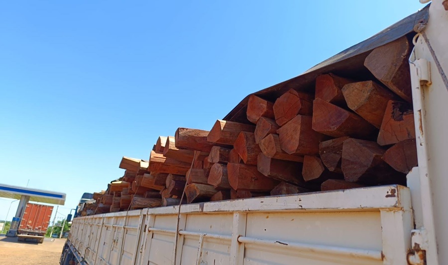 Misiones: Inspectores forestales detuvieron a un camión con una carga de 800 postes de la especie Urunday que eran transportados sin que el conductor contará con la documentación que avalara el origen de la madera