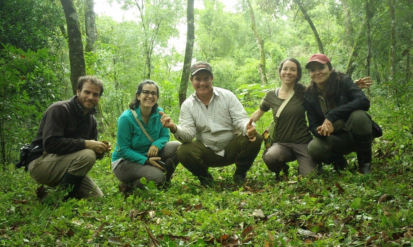 Para afianzar la producción agroecológica, el INYM estudia si mamíferos utilizan los yerbales como corredores entre áreas de selva