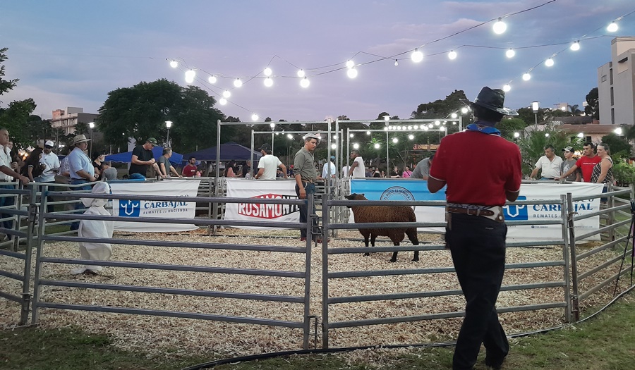 Con promesa de reapertura del frigorífico local, el Municipio misionero de Bernardo de Irigoyen coronó su Primer Remate Nocturno