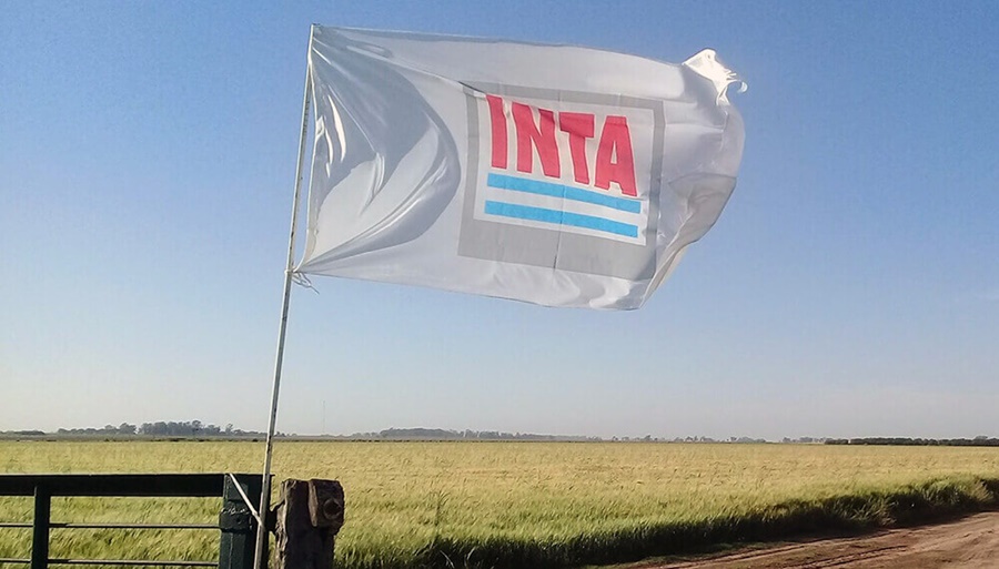 Un Diputado de Salta quiere quitarle hectáreas al INTA y desde el campo lo tildaron de “burro”