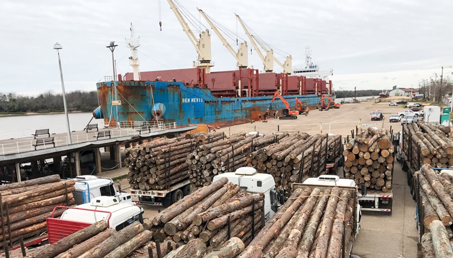 Madereros en alerta: Cayeron las exportaciones, el mercado interno no reacciona y podría haber despidos