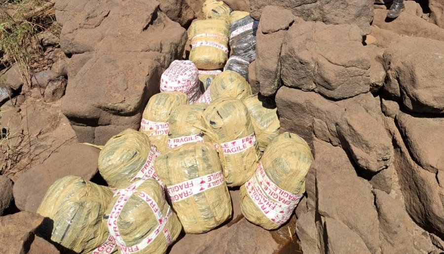 Gendarmería Nacional secuestró más de media tonelada de marihuana