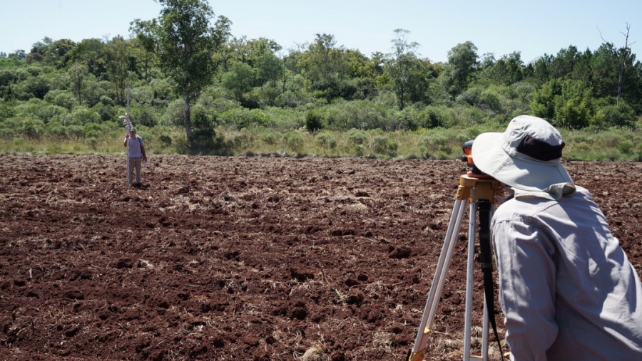 Preparado del suelo para la plantación, los primeros pasos para una buena productividad en la yerba mate