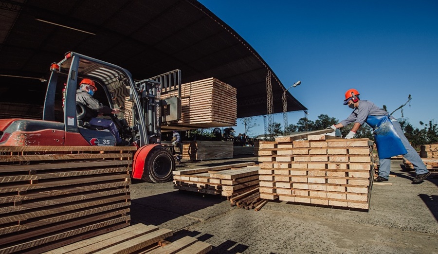 Exportación de productos forestales a la Unión Europea: Misiones será sede de la jornada de difusión de los requisitos que entrarán en vigencia para todos los eslabones de la cadena forestal