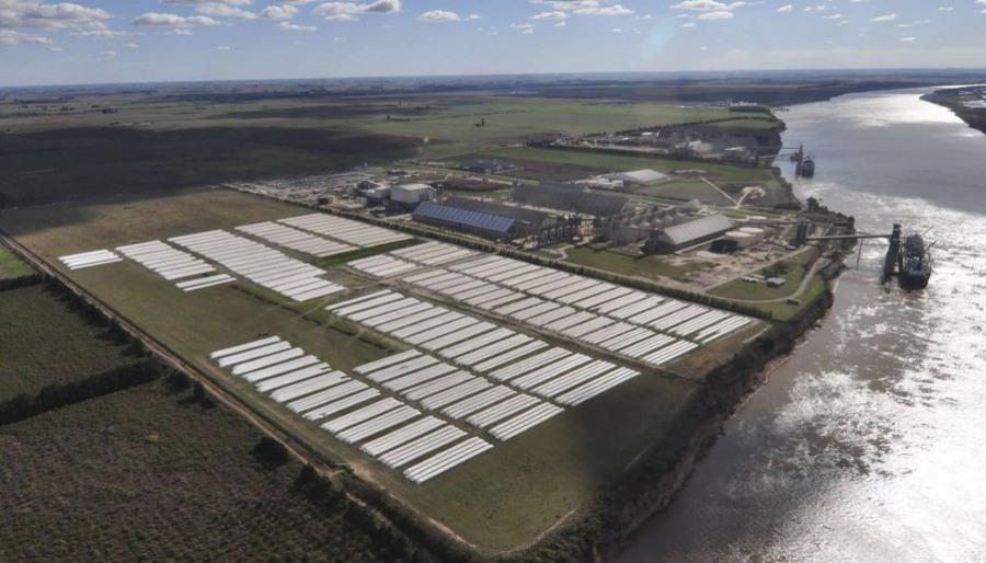 Con la soja y el maíz a la cabeza, las exportaciones del agro iniciaron el año con crecimiento