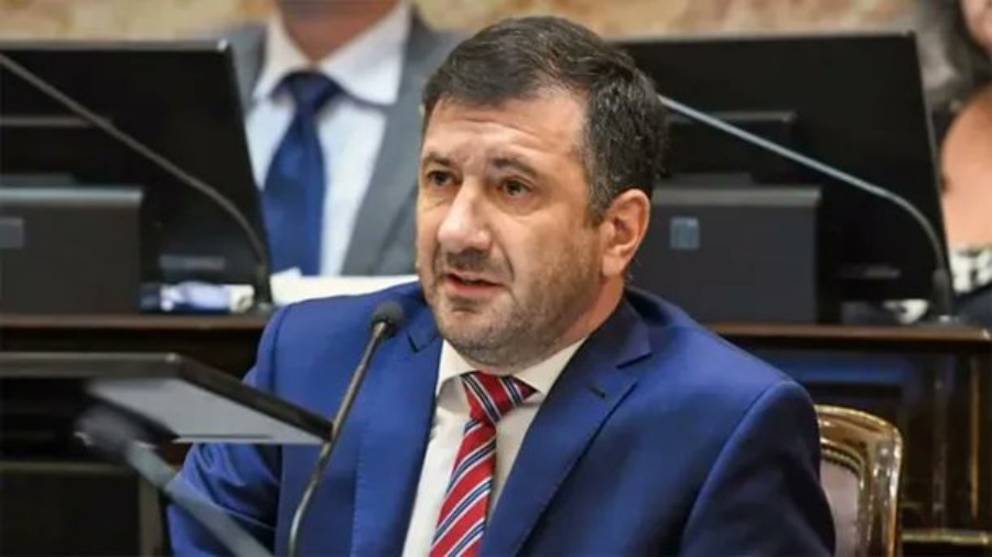Edgardo Kueider, afuera del Senado: Uno por uno, cómo votó cada Senador