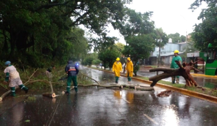 El Municipio posadeño activó operativo de emergencia luego del temporal