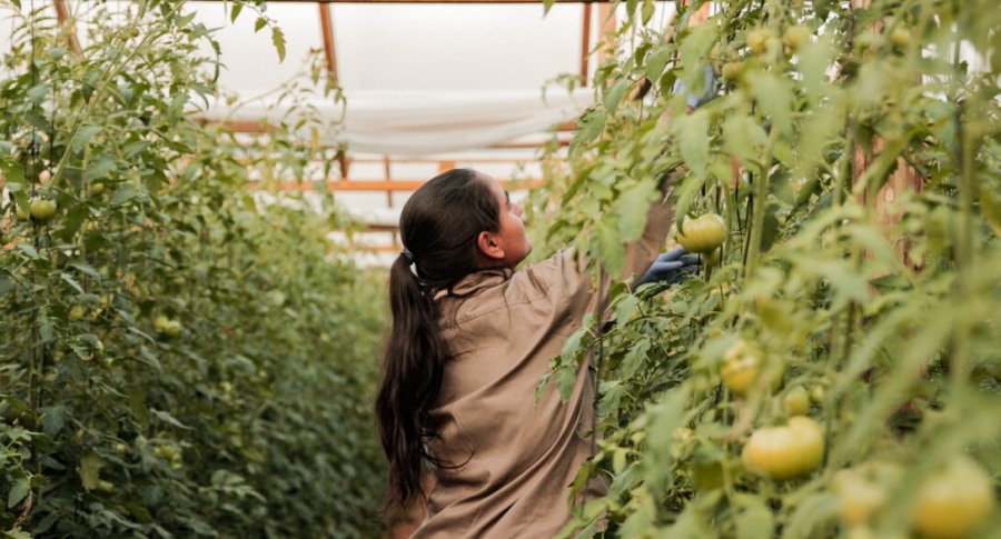 Misiones: El Municipio de Eldorado contará con un Centro de Validación y Producción Hortícola