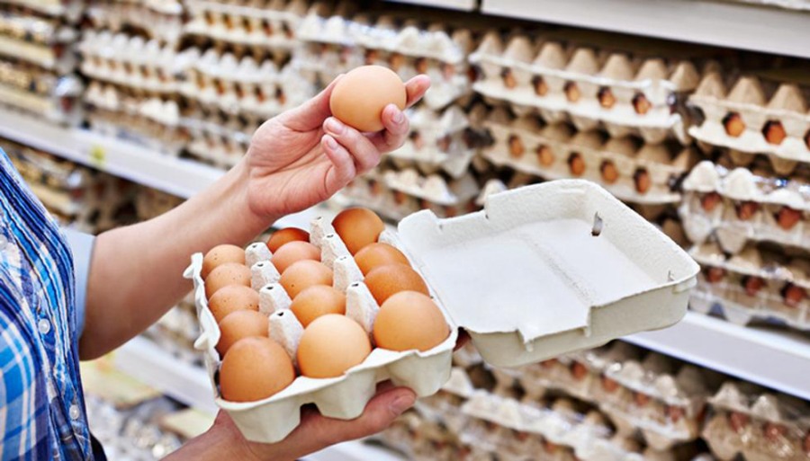 Ya se producen 550 huevos por segundo: La industria ovoavícola argentina vive un presente de alto vuelo