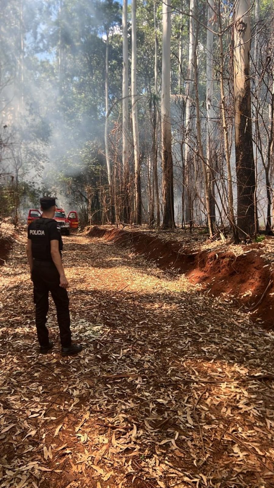 Una rápida intervención de Bomberos Voluntarios evitó la propagación de un incendio forestal en una zona rural de la localidad de Campo Grande