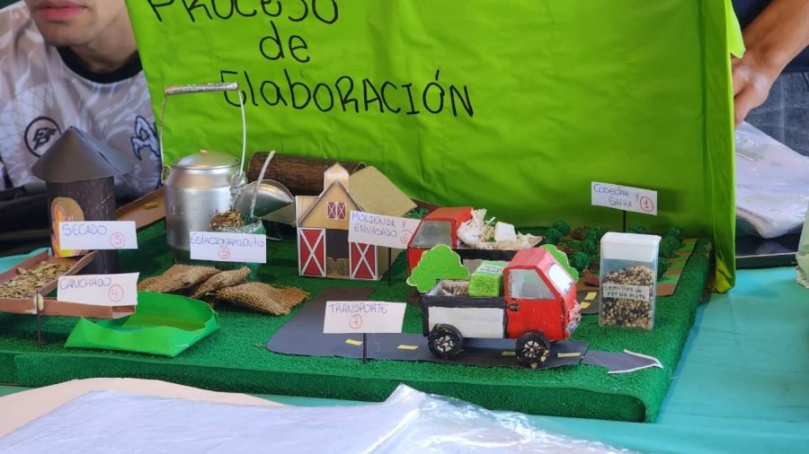 Semilla Emprendedora: Jóvenes apostoleños mostraron su potencial emprendedor, presentaron microemprendimientos y empresas simuladas