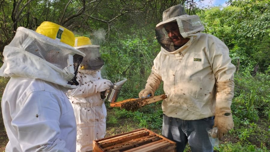 Frente a la crisis del empleo, Pata Pila fortalece su programa en oficios en el norte argentino