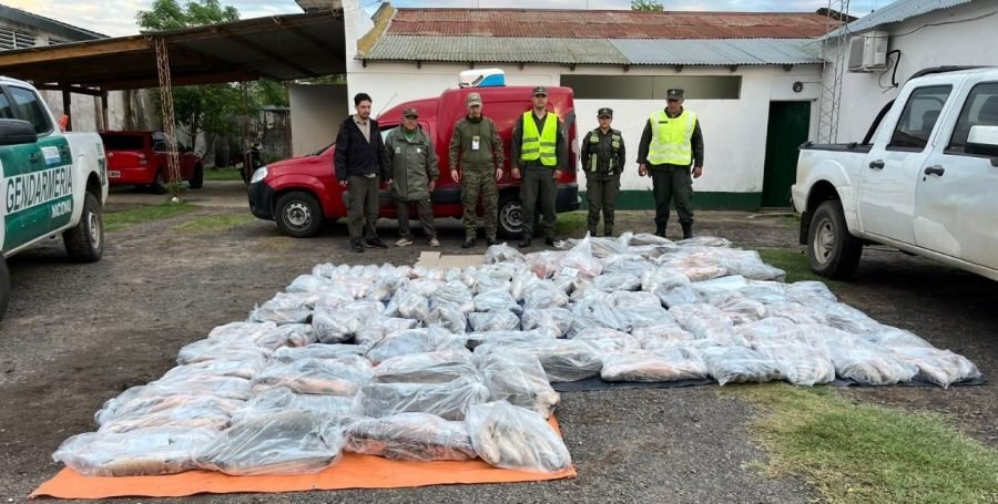Gendarmes secuestraron 950 kilos de pescado: Los especímenes no contaban con la cadena de frío correspondiente