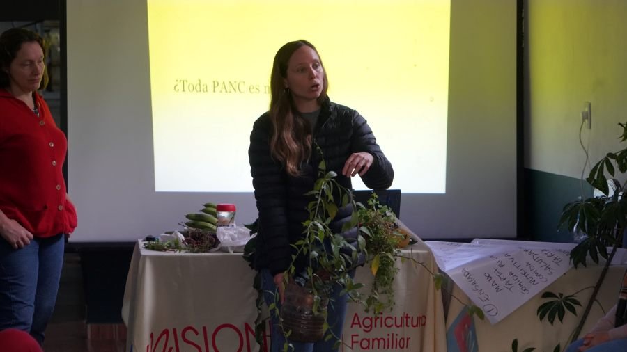 Apóstoles: Se realizó una capacitación sobre plantas alimenticias no convencionales, una propuesta orientada a promover la alimentación saludable