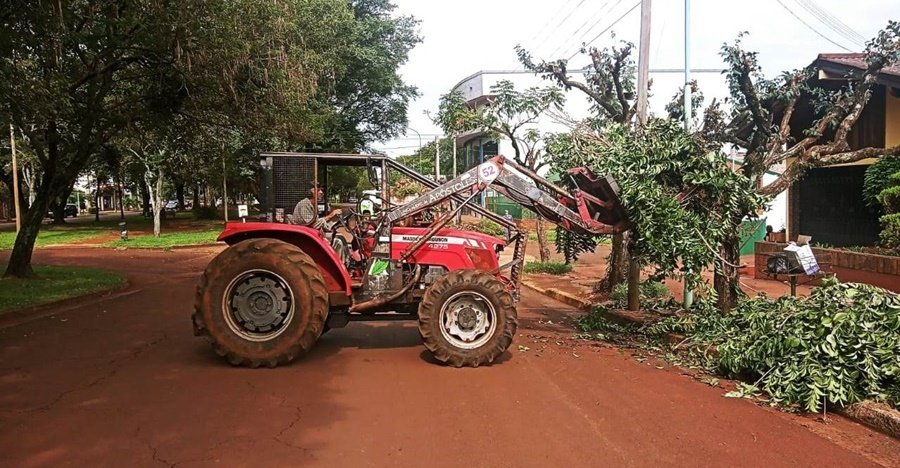 Apóstoles: En el mes de Mayo dará inicio la poda autorizada de árboles en el Sector II del Municipio