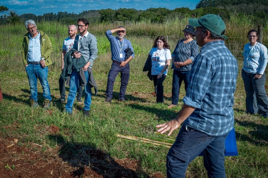 Capacitan a agricultores de Misiones en Fitomejoramiento Evolutivo para desarrollar semillas adaptadas a cada territorio