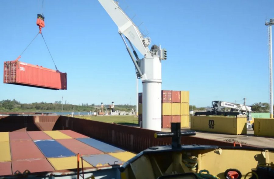 Enero histórico: La provincia de Misiones logró el mejor arranque exportador en más de una década y se consolida como líder del NEA