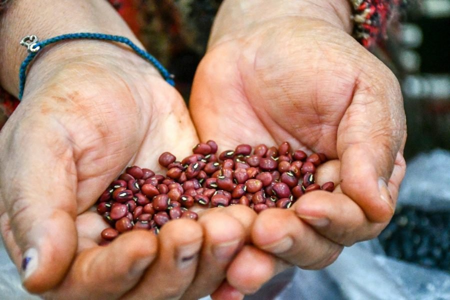 Proyecto Trinacional Raíces inicia acciones en las provincias de Misiones y Jujuy y refuerza la cooperación regional y el compromiso con sistemas alimentarios resilientes