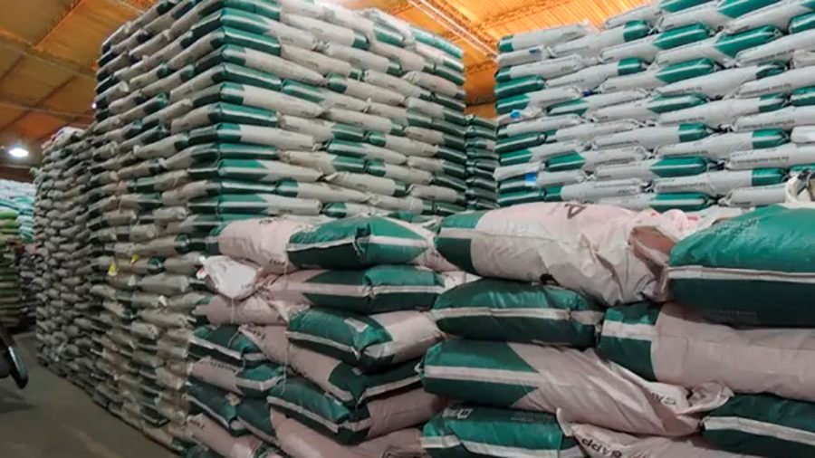 Desregulación semillera: Adelantan importantes novedades al sector