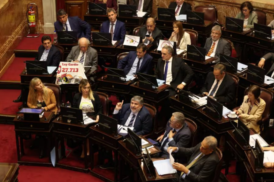 El Senado rechazó los vetos del Presidente Javier Milei y dejó firme las Leyes de Financiamiento Universitario y de Apoyo al Garrahan