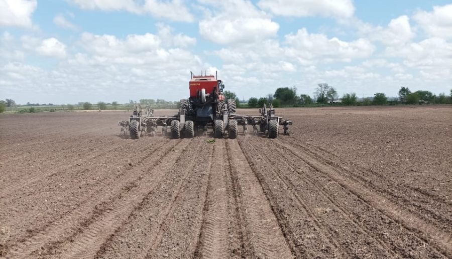 Arrancaron los ensayos de maíz y soja en el PT Farm
