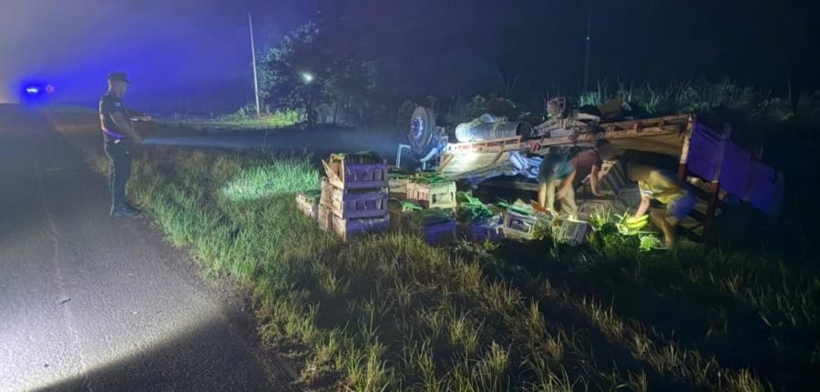 Colonia Mado: Despiste y vuelco de camión sobre la Ruta Nacional N° 12, no se registraron lesionados