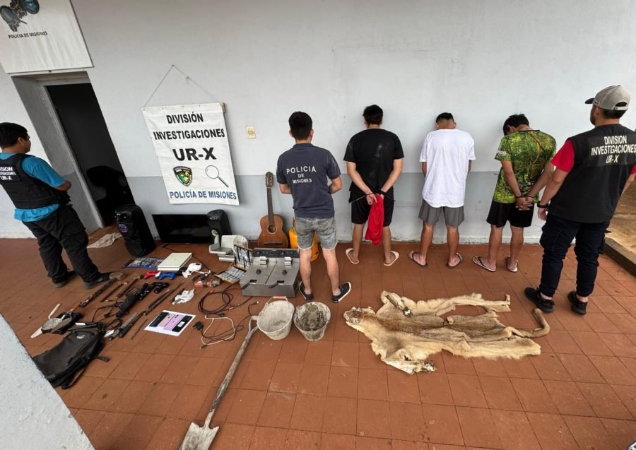 Banda delictiva capturada en la ciudad de Posadas, además de objetos robados tenían el pelaje disecado de un puma